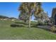 Picturesque backyard with mature palm trees overlooking a lush green lawn at 1900 Nw 57Th Ct, Ocala, FL 34482