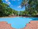 Backyard swimming pool with brick pavers and surrounding trees at 2001 Bett Mar Ln, Winter Park, FL 32789