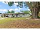 Inviting single-story home with beautiful tree, a carport, and landscaped front yard at 3631 Surrey Dr, Orlando, FL 32812
