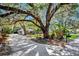 Beautiful home featuring a well-manicured lawn, mature trees, and a circular driveway, exuding curb appeal and charm at 5301 Forest Breeze Ct, St Cloud, FL 34771