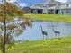 Scenic view of a pond with Sandhill Cranes along grassy shorelines in a residential area at 5648 Cedar Chase Dr, St Cloud, FL 34771