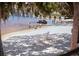 Scenic beach view with white Adirondack chairs, water views, and trees at 609 W Osceola St, Clermont, FL 34711