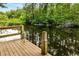 Private wooden boat dock with ladder access to a tranquil waterway surrounded by dense foliage at 8368 Rambling River Dr, Sanford, FL 32771