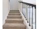 Carpeted staircase with a dark railing and white trim leading to the upper level at 5217 Passion Flower Way, Winter Garden, FL 34787