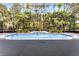 A lovely enclosed pool area featuring a built-in water feature and tropical landscaping for a serene experience at 10033 Hart Branch Cir, Orlando, FL 32832