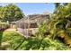 Backyard view of a private screened-in pool with a lush tropical landscape at 109 Romney Marsh Rd, Longwood, FL 32779