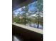 Balcony view of the trees and lake at 12539 Floridays Resort Dr Dr # 208D, Orlando, FL 32821
