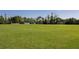 Expansive green soccer field, perfect for outdoor activities at 14751 Clarkson Dr, Orlando, FL 32828