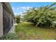 Spacious backyard featuring a well-maintained lawn and mature landscaping, perfect for outdoor activities and relaxation at 413 Macchi Ave, Oakland, FL 34787