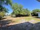 Large backyard with shade trees and clear blue sky at 511 S Alder Ave, Orlando, FL 32807