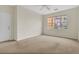 Bright living room featuring neutral walls, plush carpeting, a ceiling fan, and large windows for natural light at 8213 Claire Ann Dr # 108, Orlando, FL 32825