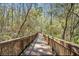 Wooden boardwalk through a dense forest with sunlight shining through the trees at 9126 Shadowbrook Trl, Orlando, FL 32825