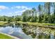 View of a tranquil pond featuring lilly pads and a treeline in the background at 9126 Shadowbrook Trl, Orlando, FL 32825