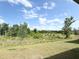 View of the private backyard, showcasing mature trees and serene natural beauty at 4278 Sagefield Dr, St Cloud, FL 34773