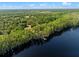 Aerial view of the lakefront property with dock access and a line of trees at 6037 Lake Erie Rd, Groveland, FL 34736