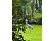 Beautiful wooded property with crane wandering through the lush backyard of this lovely home at 6037 Lake Erie Rd, Groveland, FL 34736
