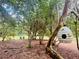 Beautiful backyard with lush trees, a decorative birdhouse, and Adirondack chairs for peaceful relaxation at 6037 Lake Erie Rd, Groveland, FL 34736