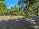 Expansive backyard with mature trees, well maintained grass, and natural beauty at 6037 Lake Erie Rd, Groveland, FL 34736