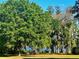 Beautiful backyard with lush greenery, mature trees, and tranquil lake views at 6037 Lake Erie Rd, Groveland, FL 34736