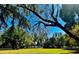 Beautiful backyard with mature trees at 6037 Lake Erie Rd, Groveland, FL 34736