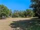 Expansive front yard with mature trees under a clear blue sky offering a serene, natural setting at 6037 Lake Erie Rd, Groveland, FL 34736
