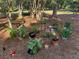Eclectic garden with potted plants, charming decorative items, and fresh herbs ready for cooking at 6037 Lake Erie Rd, Groveland, FL 34736