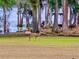Deer grazing on grassy lawn at 6037 Lake Erie Rd, Groveland, FL 34736