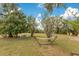 Spacious backyard with a hammock, mature trees, and well-manicured lawn at 6816 Greengrove Blvd, Clermont, FL 34714