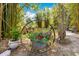 Lush garden with bamboo and colorful flowers, creating a tranquil and inviting outdoor space at 6816 Greengrove Blvd, Clermont, FL 34714
