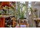 Unique plant inside of a whimsical pot sits on a wooden table in this kitchen with red cabinets at 6816 Greengrove Blvd, Clermont, FL 34714