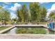 Stunning backyard pond filled with goldfish, surrounded by manicured landscaping and a bamboo garden at 6816 Greengrove Blvd, Clermont, FL 34714