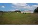Beautiful acreage featuring a metal garage building and a vintage tractor at 11320 Montevista Rd, Clermont, FL 34711
