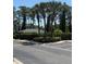 Community pool surrounded by towering palm trees, greenery, and well-maintained landscaping at 12850 Lexington Summit St, Orlando, FL 32828
