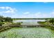 Scenic view of a wooden walking bridge spanning a tranquil lake, adorned with lush greenery and serene lily pads at 14722 Porter Rd, Winter Garden, FL 34787