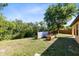 Private backyard features mature trees, wooden planter box, and green space at 19319 Briercrest Trl, Orlando, FL 32833