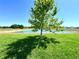Beautiful pond in a lush, green backyard creating a peaceful and picturesque setting at 216 Grove Branch Rd, Winter Haven, FL 33880