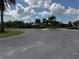 The community parking lot has lush landscaping featuring palm trees and grassy areas at 2753 Monticello Way, Kissimmee, FL 34741