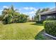 Large lush lawn offers plenty of room for activities and relaxation with privacy hedges at 849 Shadowmoss Dr, Winter Garden, FL 34787