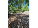 Large backyard featuring mature trees, a utility shed and room for outdoor activities at 855 Marion Dr, Mount Dora, FL 32757