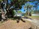 Charming single-story home featuring a well-maintained lawn, mature trees, and a private driveway at 855 Marion Dr, Mount Dora, FL 32757