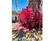 Charming property featuring colorful landscaping and mature trees at 855 Marion Dr, Mount Dora, FL 32757