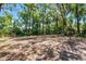 View of a spacious backyard with mature trees and room to roam at 1210 S Clayton St, Mount Dora, FL 32757