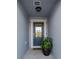Inviting front entryway with a decorative glass door, potted plant, and overhead lighting at 1328 Pompay Dr, Davenport, FL 33896