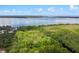 Scenic aerial view of lush green trees near Lake Eustis in Tavares, Florida, a waterfront community with much to offer at 25931 Azalea Ln, Astatula, FL 34705