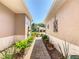 Inviting walkway leading to a well-maintained home with lush landscaping and decorative accents at 2977 White Cedar Cir, Kissimmee, FL 34741