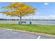 Scenic view of a lake with chairs under a tree and a beautiful sky with clouds above at 151 N Orlando Ave # 115, Winter Park, FL 32789