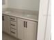 Bathroom featuring double sinks, quartz countertop, and gray cabinetry with sleek hardware at 15483 Hamlin Park Drive, Winter Garden, FL 34787