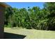 Spacious backyard with a lush green lawn and treeline at 245 Brunswick Dr, Davenport, FL 33837