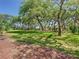 Expansive green grounds with mature trees create a park-like setting at 6403 Parc Corniche Dr # 4114, Orlando, FL 32821