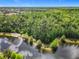 An aerial view of a lake surrounded by lush green trees at 1410 Resolute St, Celebration, FL 34747